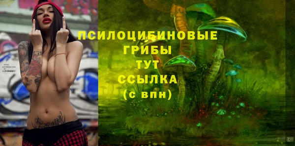 эйфоретик Кулебаки