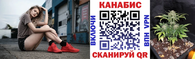 Шишки марихуана гибрид  Фокино 
